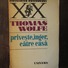 Thomas Wolfe -Priveste, inger, catre casa
