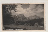 Poiana Tapului - Valea Urlatoare, Busteni, Circulata, Printata