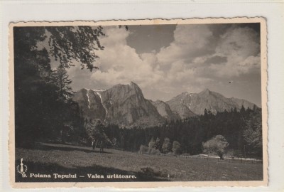 Poiana Tapului - Valea Urlatoare foto