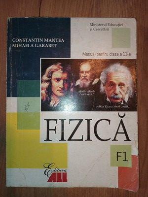 Fizica. Manual pentru clasa a 11-a - Constantin Mantea, Mihaela Garabet |  Okazii.ro