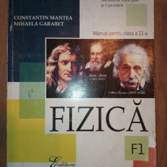 Fizica. Manual pentru clasa a 11-a - Constantin Mantea, Mihaela Garabet