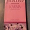 Karma misterele reincarnarii Louis Gosselin