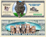 !!! SUA = FANTASY NOTE (TJ6) = PISICA COMUNA , TABBY CAT - 2011 - UNC