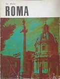 ROMA-ION MICLEA