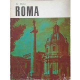 ROMA-ION MICLEA-221540