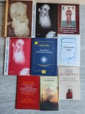Lot 9 cărți religioase, spiritualitate și teologie ortodoxă (Părintele Galeriu, Gh. Calciu