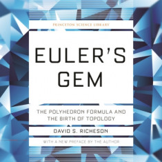 Euler's Gem: The Polyhedron Formula and the Birth of Topology