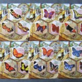 MALAWI-FLUTURI TROPICALI-SET 8 M/Sh.NEOBLITERATE -MNH**- EP 011