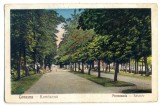 AD 859 C. P. VECHE - COVASNA -KOVASZNA -PROMENADA -SETATER -1931-PROFESOR BRAILA