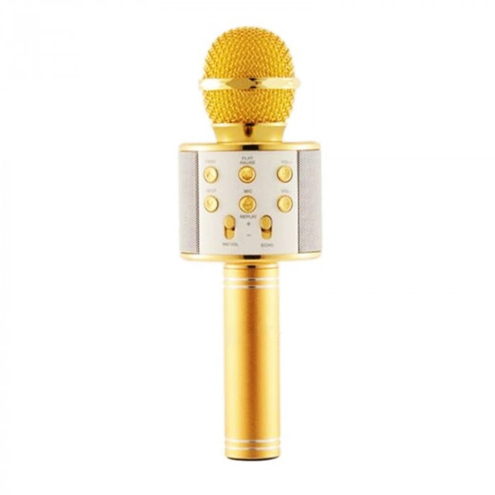 Microfon karaoke fara fir WS-858, acumulator incorporat