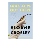 Look Alive Out There