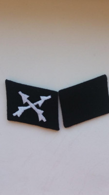 WW2 Petlite Germane 28 SS Wallonien foto