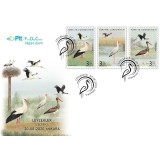 TURCIA 2020 FAUNA PASARI BERZE