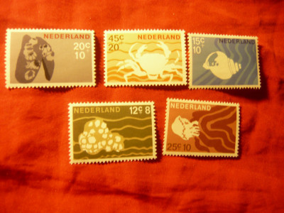 Serie Olanda 1967 - Fauna Marina, 5 valori foto