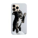 Husa compatibila cu Apple iPhone 14 Plus model Paw Patrol, Silicon, TPU, Viceversa