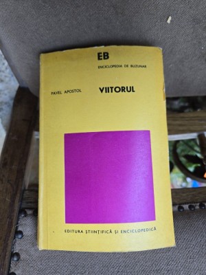 Viitorul - Pavel Apostol foto