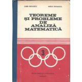 Teoreme si probleme de analiza matematica - Sorin Radulescu