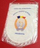 Fanion Directia Judeteana pt Tineret si SPORT Prahova (DJTS) folie de protectie