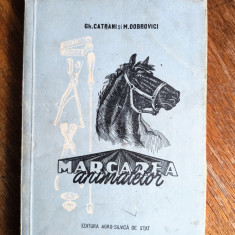 Marcarea animalelor - Gh. Catrani, 1956 / R3P4F