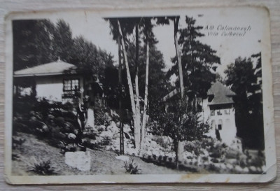 Cp Călimănești V&amp;acirc;lcea : Vila Culbecul - 1943, cenzură foto