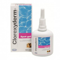 Gel Clorexyderm spot 100ml