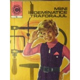 MAINI INDEMANATICE. TRAFORAJUL-NICOLAE BUCUR-265855