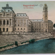 1908 - Oradea, Primaria (jud. Bihor)