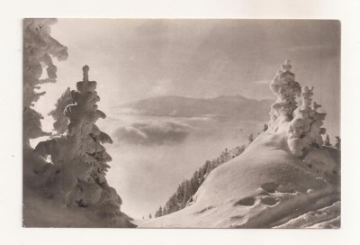 RF70 -Carte Postala- Masivul Postavarul, Creasta Cocosului, necirculata foto