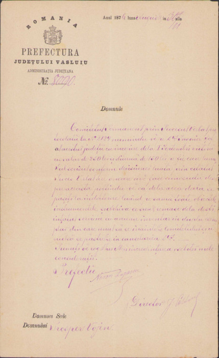 HST 243S Act 1876 semnat olograf prefect județul Vaslui Neron Lupașcu