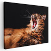 Tablou pisica maro cascand Tablou canvas pe panza CU RAMA 30x40 cm