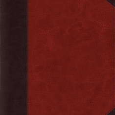 ESV Study Bible, Large Print (Trutone, Brown/Cordovan, Portfolio Design)