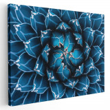 Tablou cu cactus agave detaliu albastru 1380 Tablou canvas pe panza CU RAMA 20x30 cm