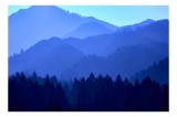 Tablou Canvas, "V&acirc;rfuri montane &icirc;n ceață albastră", Munți, Cețoși, Albastru, Pădure, Siluetă, Liniște, Natură, Orizont, Stratificat, Misterios, 39 x 2