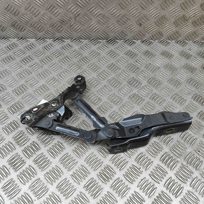 Balama capota st&acirc;nga față TESLA MODEL X 2020 OEM: 1009620-04-L 31672683