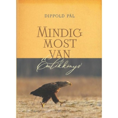 Mindig most van - Eml&amp;eacute;kk&amp;ouml;nyv - Dippold P&amp;aacute;l foto