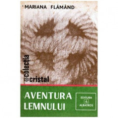 Aventura lemnului foto