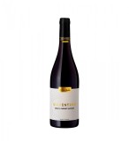Girboiu Epicentrum Merlot &amp; Cabernet Sauvignon - Vin Rosu Sec - Romania - 0.75L