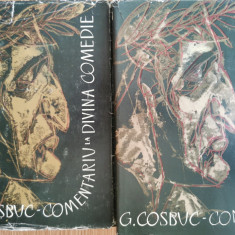 Comentariu la Divina Comedie (2 vol.) - George Cosbuc