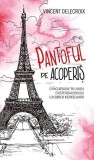 Roman Pantoful pe acoperis Vincent Delecroix RAO Paperback brosat Carti Fictiune Beletristica