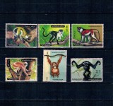 Ajman 1973 - Fauna, animale, maimute, serie dantelata neuzata