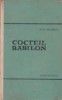 Cocteil-Babilon - Reportaj din America