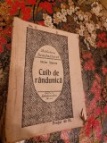 Victor Stanciu - Cuib de Randunica