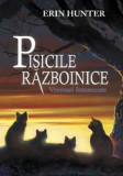 Pisicile Razboinice - Vol 6 - Vremuri intunecate