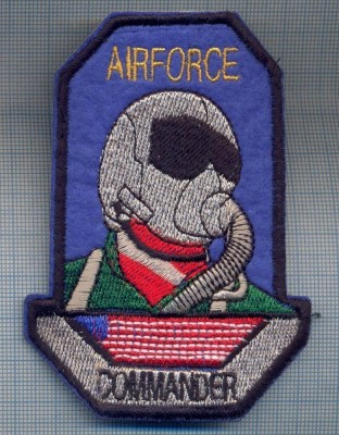 AX 1240 EMBLEMA -AVIATIE - AIRFORCE -COMMANDER - SUA -PENTRU COLECTIONARI foto