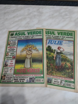 ASUL VERDE: IULIE+NOIEMBRIE 2007 foto