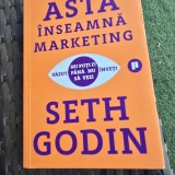 ASTA INSEAMNA MARKETING - SETH GODIN