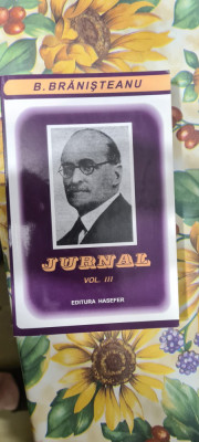 JURNAL vol.3 - B.BRANISTEANu foto