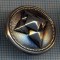 AX 1172 NASTURE METALIC MASONIC ? - CRUCEA SAGITARA -PENTRU COLECTIONARI