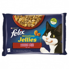 FELIX Sensations Jellies pliculețe, selecție delicioasă în gelatină 4 x 85 g