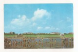RF138 - Carte Postala - Eforie-Nord, circulata 1967